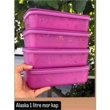 Elite 1 Lt 4 Adet Alaska. 1 Adet