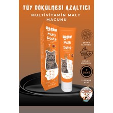 Multivitamin Macun 100G (Kedilerde  Destekleyici Tüy Yumak Önleyici Macun)