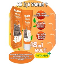 Multivitamin Macun 100G (Kedilerde  Destekleyici Tüy Yumak Önleyici Macun)