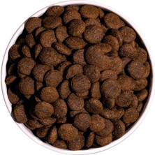 Ownat 4 kg Ördekli Classic Adult Köpek Maması