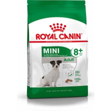 Royal Canin Mini Adult +8 Yaş Yaşlı Köpek Maması 2 Kg
