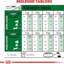Royal Canin Mini Adult +8 Yaş Yaşlı Köpek Maması 2 Kg
