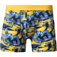3'lü Erkek Boxer