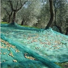 Sera Fındık Dut Zeytin Filesi 6 mt x 10 mt %45LIK