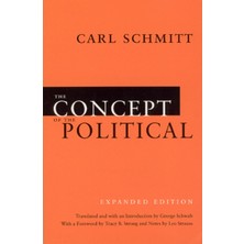 Concept Of The Political