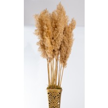 Fil Ayak Gold Pampas Çiçekli vazo