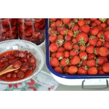 95 Adet Çilek Fidanı ( Reçellik ) Açık Kök Firigo Anaç Fidan 1 Inci Sınıf