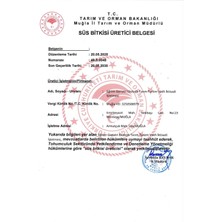 Deniz Lavantası-Limonium Siniuatum-1 Demet