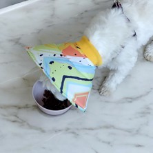 Kedi Veköpek Yakalığı,kedi Elizabeth Yakalık, Kedi ve Köpek Ameliyat Sonrası Yakalık