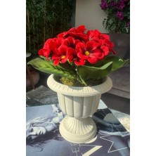 Yapay Çiçek Krem Saksıda Kırmızı Kadife Menekşe Gerçekçi Doku 22CM