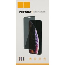 iPhone 12 Mini Uyumlu Privacy Ön Koruma Temperli Hayalet Cam Ekran Koruyucu (Siyah)