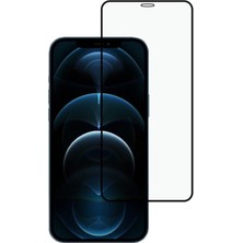 iPhone 12 / 12 Pro Uyumlu Ön Koruma Mat Seramik Nano Ekran Koruyucu (Siyah)