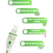 Aloe Vera Içerikli Serinletici Nemlendirici Kolajen Destekli Jel 200 ml