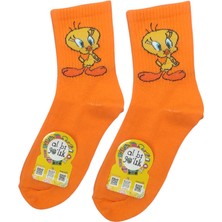 Al Bi 90Lık 3'lü Bugs Bunny, Sylvester ve Tweety Desenli Kolej Set Çorap