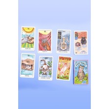 Kedi Tarot (Cat Tarot) 78 Tarot Kartı ve Rehber Kitap (Yeni Kutu)