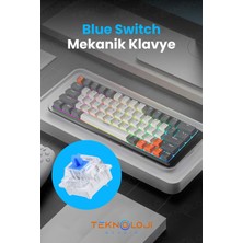 Teknoloji Gelsin Mekanik Oyuncu Klavyesi Blue Switch 18 Farklı Rgb Modu Kablolu Gaming Klavye Tuş Sök/tak Typec Kablo