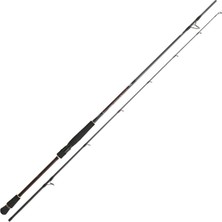 Daiwa Infeet Seabass 2.74m 14-42gr 2P Kamış