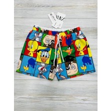 Erkek Çocuk Karakter Baskılı Su Tutmaz Bel Bağcıklı Ağ Fileli Deniz ve Havuz Şortu