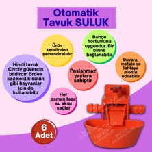 Otomatik Akıllı Tavuk Civciv Suluğu Suluk 6 Adet Hindi Ördek Bıldırcın Güvercin Yumurta Yumurtacı