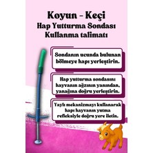 5 Adet Hap Plastik Hap Yutturma Sondası Küçükbaş Koyun  Yuturma Enjektörü Keçi Kuzu Oğlak Koç