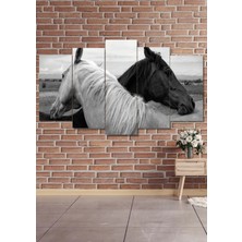 5 Parça Siyah Beyaz Atlar Duvar Dekoru Salon Oturma Yatak Odası Ofis Antre Için Tablo Seti