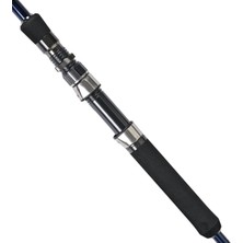 Fujin Madcast 290cm 20-80gr Shore Jig Kamışı