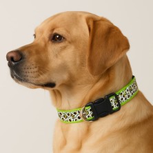 LED Işıklı Köpek Tasması – Ayarlanabilir ve Suya Dayanıklı