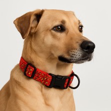 LED Işıklı Köpek Tasması – Ayarlanabilir ve Suya Dayanıklı