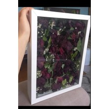 Anı Çerçevesi 34X25 Hareketli Cam
