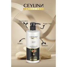 Ceylinn Argan Şampuan 500 ML
