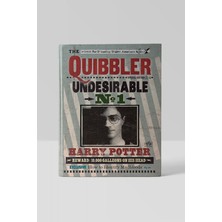 Kitap Görünümlü Dekoratif Kutu 14X21,5 cm cm Harry Potter Quibbler Lisanslı