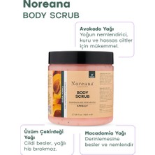 Noreana Kayısılı Scrub Peeling 800ML Salon Boy Arındırıcı&nemlendirici