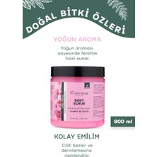 Noreana Japon Kiraz Çiçeği 800ML Scrub Peeling Salon Boy Koyu Leke&nemlendirici