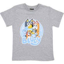 Erkek Çocuk T-Shirt Baskılı