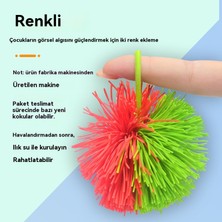 Youxuan Çocuk Anaokulu Duyusal Eğitimi (Yurt Dışından)