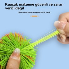 Youxuan Çocuk Anaokulu Duyusal Eğitimi (Yurt Dışından)