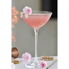 Paşabahçe Nude Savage 2 Li Coupetini Kadeh Seti1112794  67286  170 cc