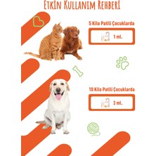 Dermacumin Plus 100ML Jel Köpekler İçin Cilt Enfeksiyonları Tedavi Desteği