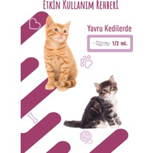 Felovir Plus 30ML Malt Kediler İçin İmmun Desteği