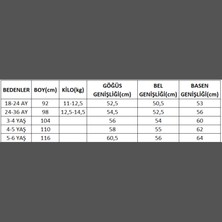 2 Iplik Baskılı Çocuk Şort Tişört Takım