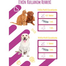 Phytospan Plus 120G Chew Tablet Kediler İçin Nefes Konforuna Katkı