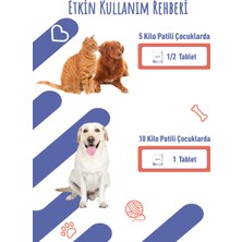 Salmonoil 120G Chew Tablet Köpekler İçin Omega-3 Desteği