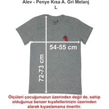 Alev Okulları Penye Kısa Açık Gri Melanj L