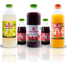 Nartalya Dondurulmuş Portakal Suyu 950  ml