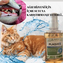 Ecopure PlaqueX Tartar Ve Plak Engelleyici