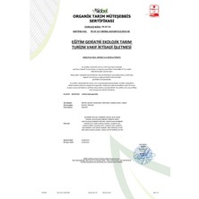 Eget Organik Arbequina Zeytin Fidanı