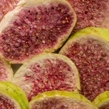 İncir Kuru Meyve Cipsi 15 gr – İlave Şekersiz & Katkısız - Dondurularak Kurutulmuş Sağlıklı Atıştırmalık – Freeze Dried İncir