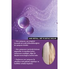 Ceylinn Silver Saç Maskesi 500 ML
