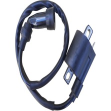 Ybr Uyumlu Ateşleme Bobini Buji Başlıklı Erpilsan Elektronik