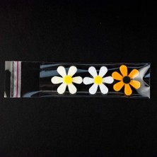 Ofis Turka Şeffaf Bantlı Poşet (20X30) 10000 Adet